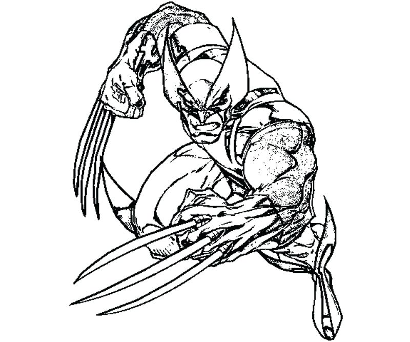800x667 Company Coloring Page Pages For La With Company To Print Wolverine