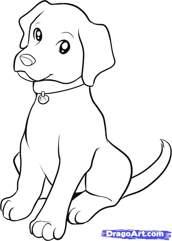576x806 Black Lab Coloring Pages Lab Puppy Drawings Free Black Lab