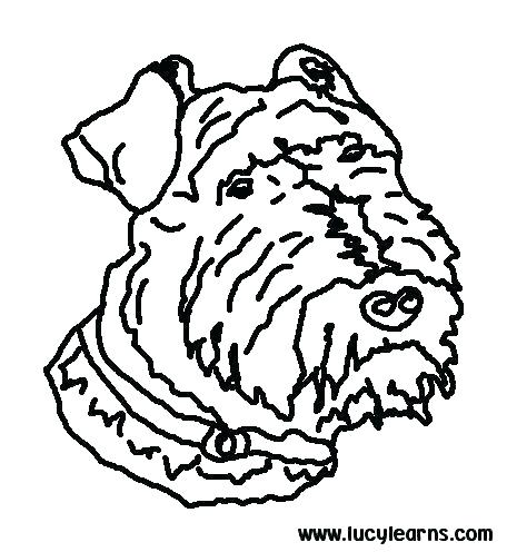 456x496 Dog Color Page Coloring Dog Dog Coloring Pages To Print Packed