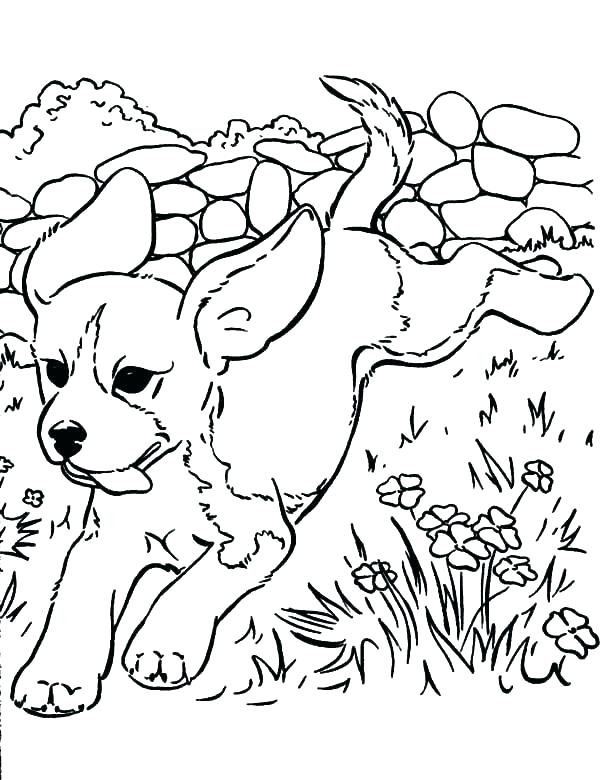 600x780 Dog Color Pages Free Dog Coloring Pages Dogs And Puppies Coloring