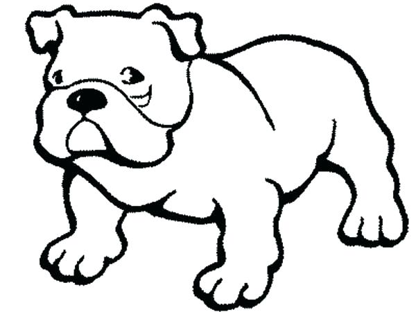600x450 Dog Color Pages Labrador Dog Pictures Color