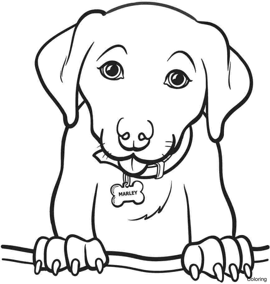 867x910 Unbelievable Clor Page Dog Coloring Alexis Pics For Labrador