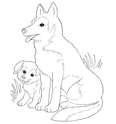 449x480 Labrador Retriever Coloring Pages Junior Coloring Page Labrador