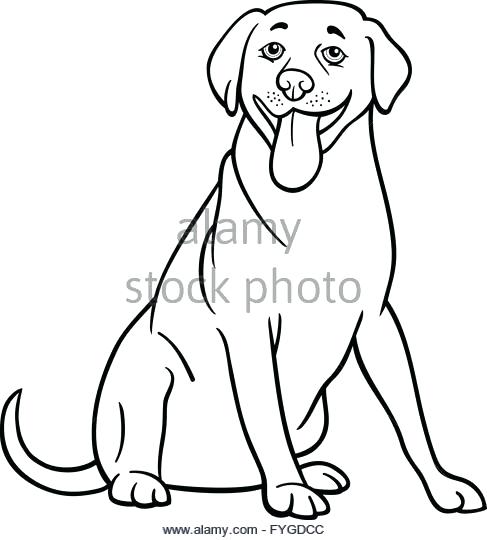 487x540 Labrador Retriever Coloring Pages Retriever Dog Cartoon