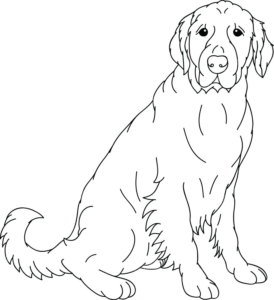 933x1024 Best Of Adult Coloring Pages Of A Dog Lab Gallery Printable