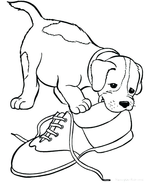 615x753 Realistic Dog Coloring Pages Dog Realistic Dog Coloring Sheets