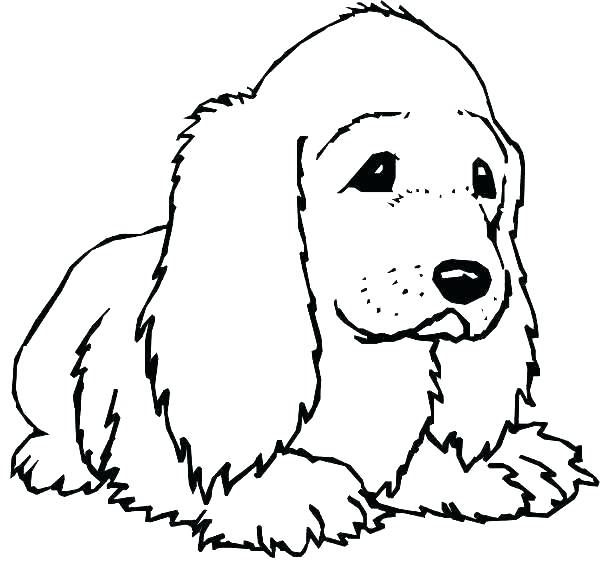 600x562 Realistic Lab Dog Coloring Pages Doggy Page Of Dogs Awesome Pag