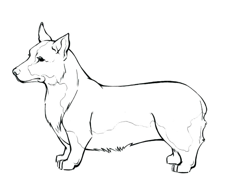 940x743 Dog Color Page Full Size Of Coloring Doggy Coloring Pages Elegant