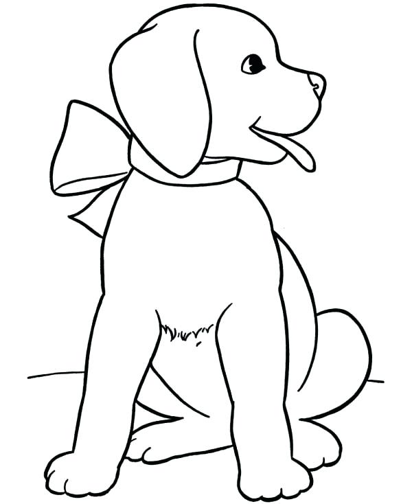 Lab Puppy Coloring Pages