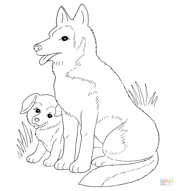 742x794 Black Lab Coloring Pages Dog Mother And Puppy Free Black Lab