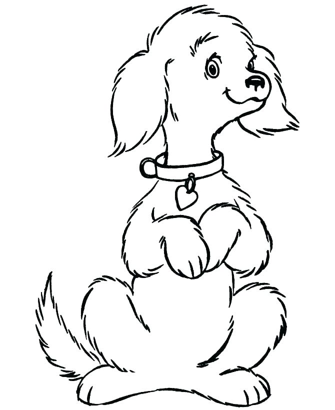 670x820 Labrador Retriever Coloring Pages