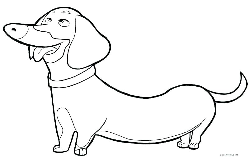 800x512 Yellow Lab Coloring Pages Yellow Lab Coloring Pages Black Lab