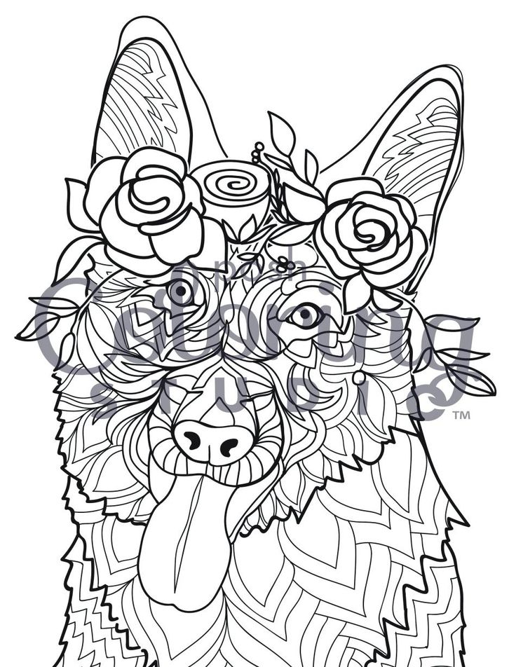 Labradoodle Coloring Pages