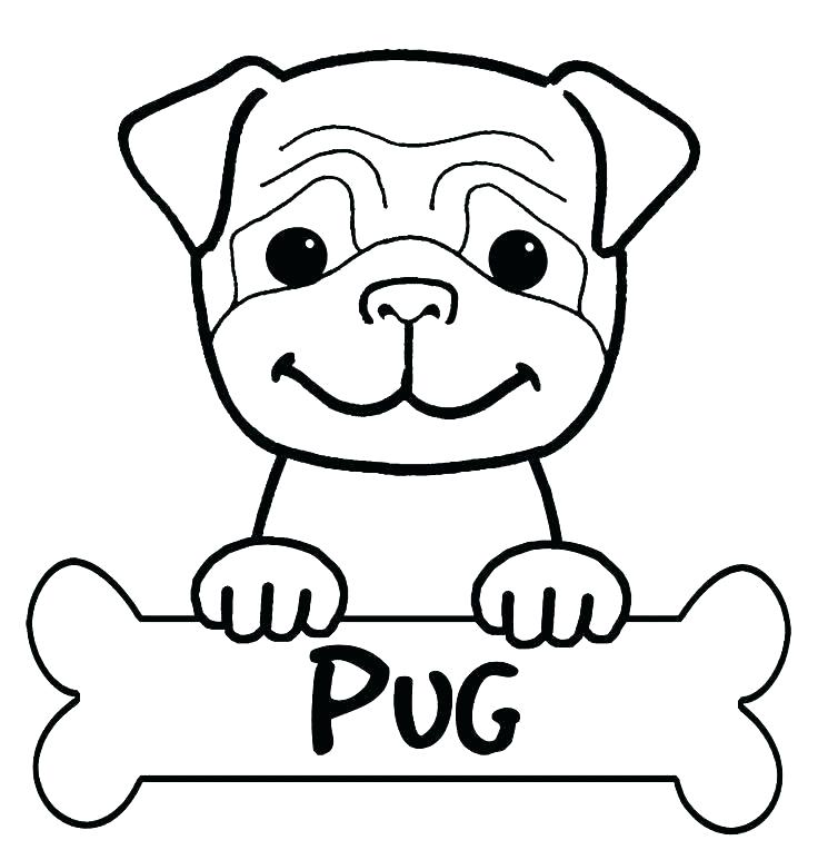 736x773 For Puppy Color Drawing Coloring Pages For Puppy Color Drawing