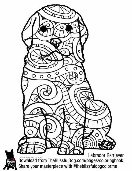 Labrador Coloring Page