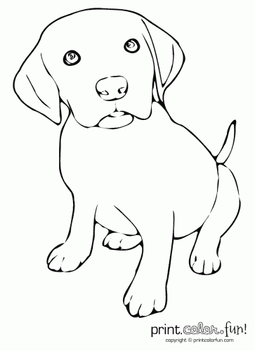 363x500 Cute Puppy Coloring Page Print Color Fun!, Labrador Coloring Pages