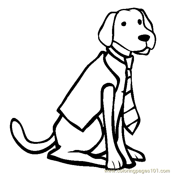554x565 Labrador Coloring Pages Lovely Labrador Retriever Lying Down