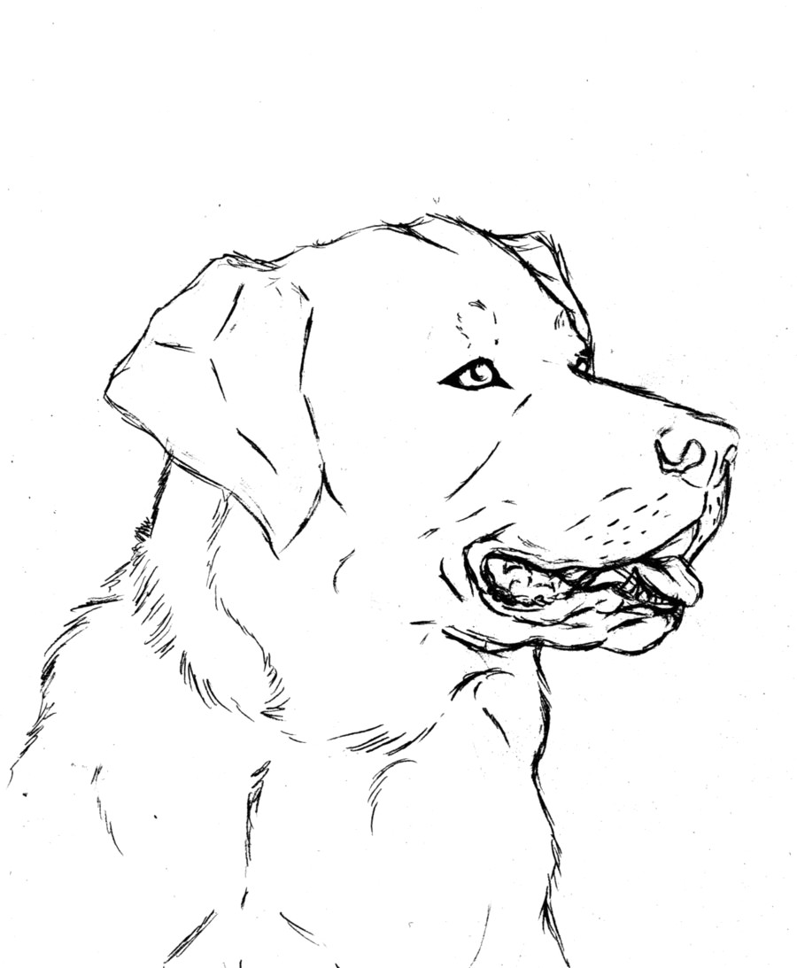 900x1093 Labrador With Puppies Coloring Page Free Printable Pages