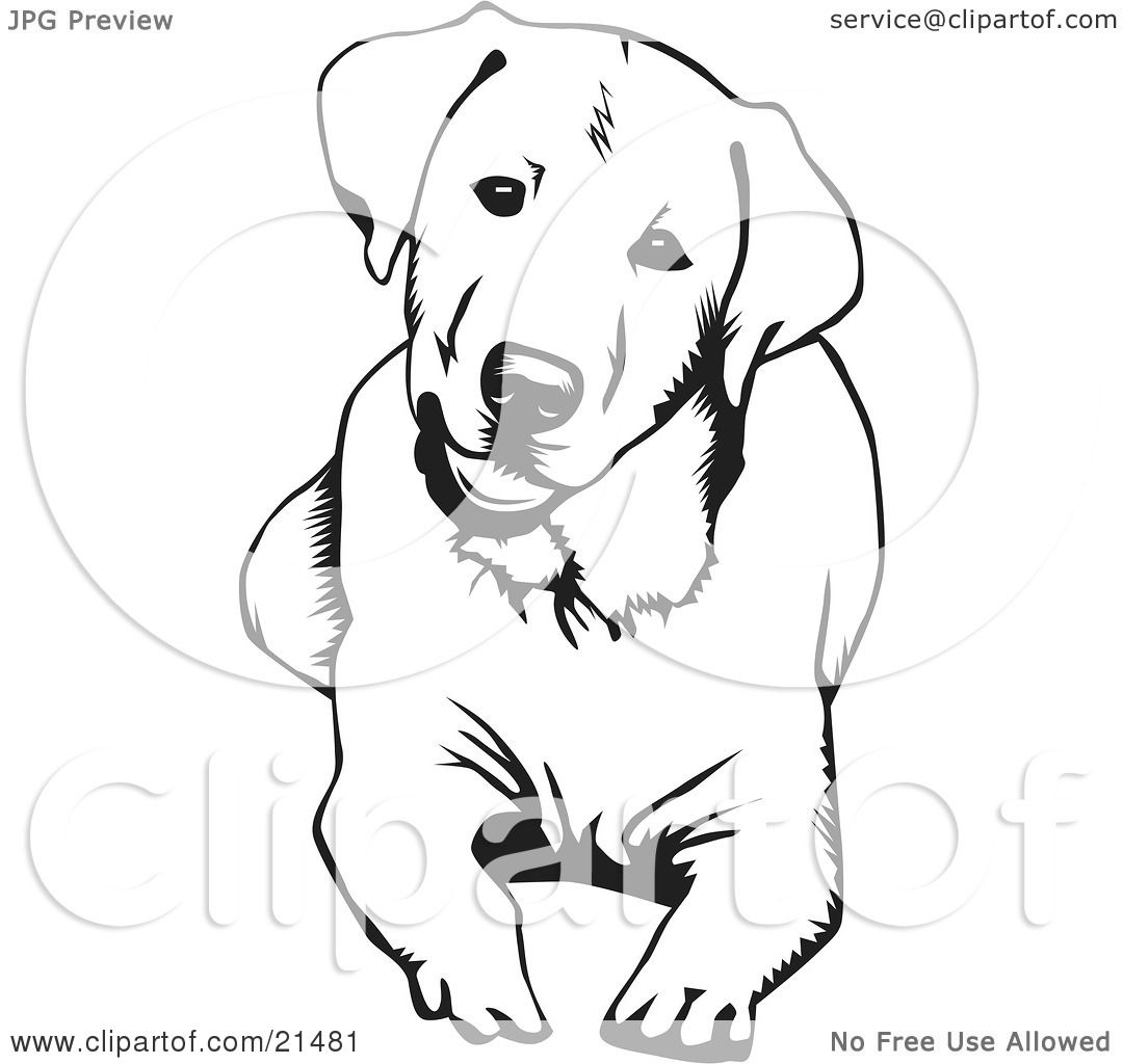1080x1024 Best Of Coloring Pages For Adults Black Lab Dog Design Great