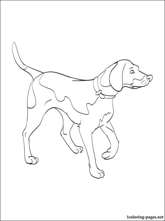 560x750 Yellow Lab Puppy Coloring Pages Inspirational Dog Breed Coloring