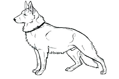 470x313 Dog Color Pages