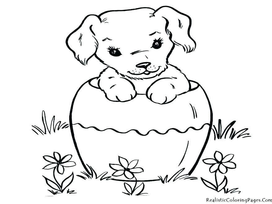 878x659 Labrador Retriever Coloring Pages Dogs Labrador Retriever Puppy