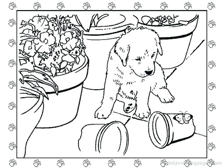 736x552 Puppy Color Pages Beagle Coloring Pages Coloring Page Magnificent