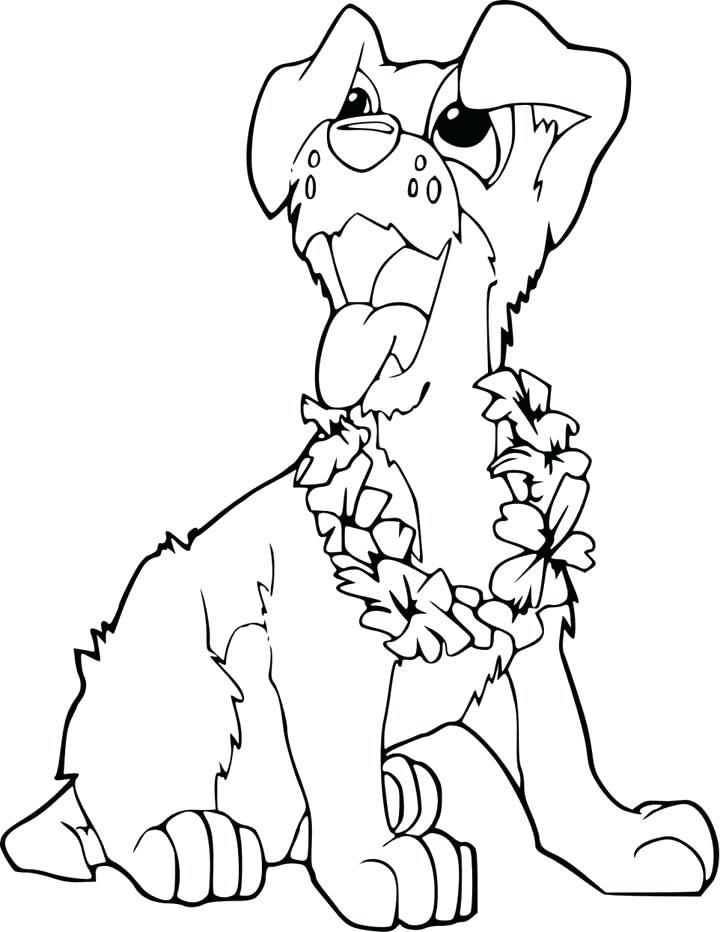 720x932 Labrador Coloring Pages