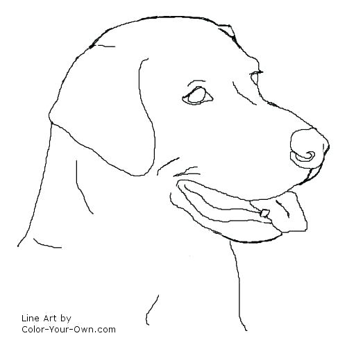 500x500 Black Labrador Coloring Pages Puppy Coloring Pages Barbie Puppy
