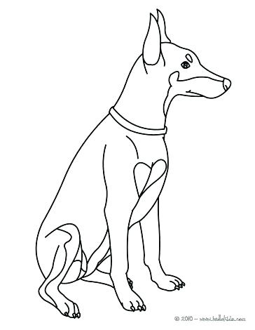 364x470 Labrador Retriever Coloring Pages Golden Retriever Coloring Pages