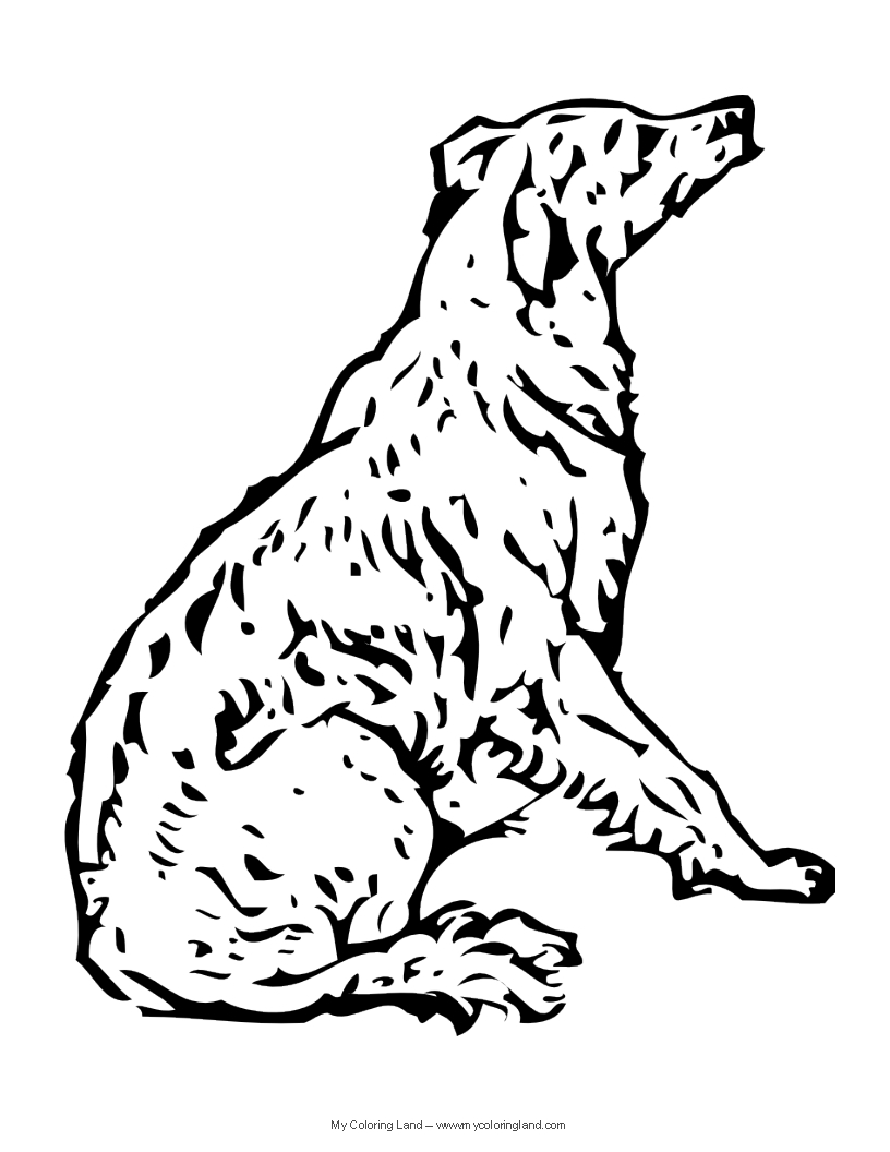 816x1056 Best Of Adult Coloring Pages Of A Dog Lab Gallery Printable