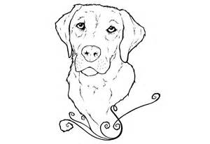 300x206 Labrador Coloring Pages