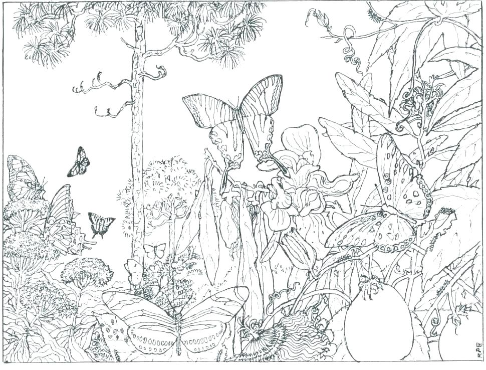 970x738 Coloring Book Pages For Adults Lace Dream Catcher Coloring Page
