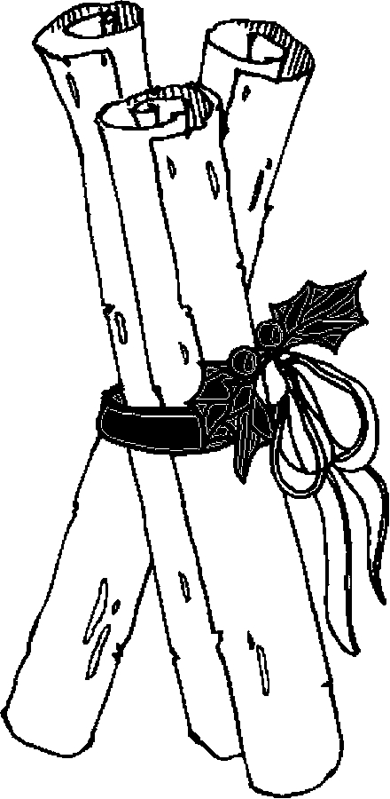 440x900 Cinnamon Sticks Coloring Page