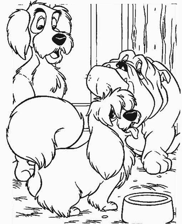 600x735 Lady And The Tramp