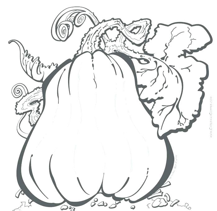 698x678 Old Lady Coloring Page Lady Rainicorn Coloring Pages