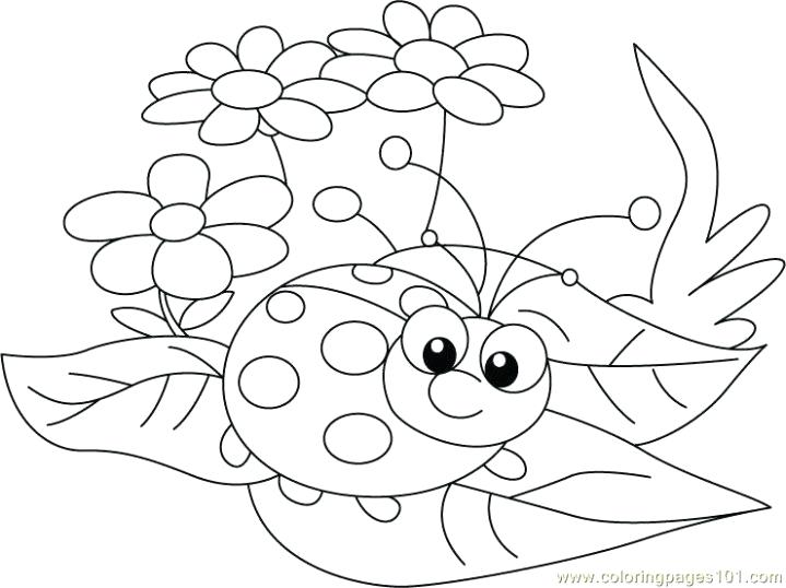 719x538 Ladybird Coloring Ladybird Coloring Pages 4 Ladybug Coloring