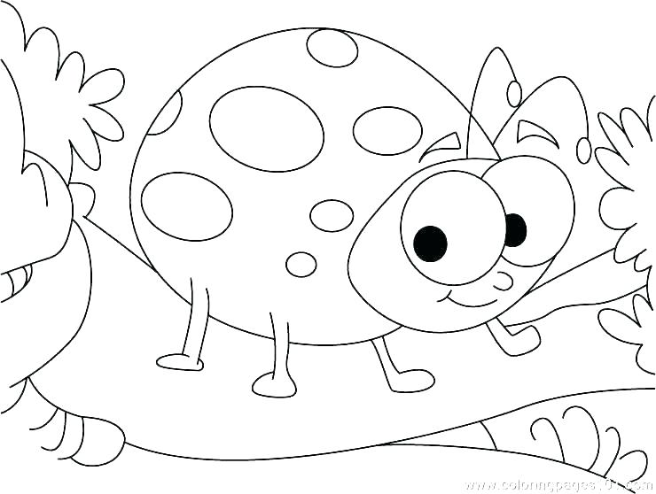 740x558 Ladybird Coloring Pages Coloring Page Ladybug Ladybugs Coloring