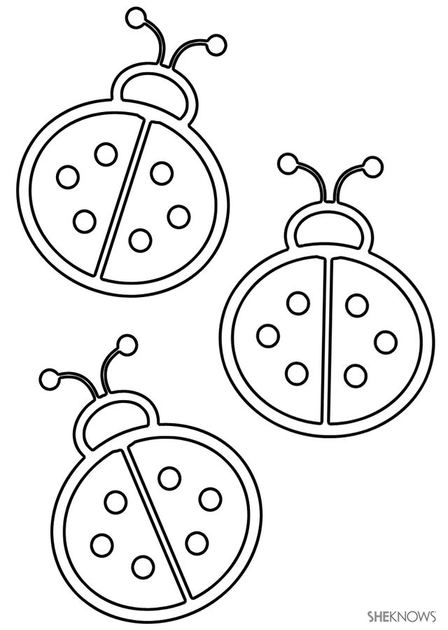 640x899 Ladybug Coloring Pages (9 Photos)