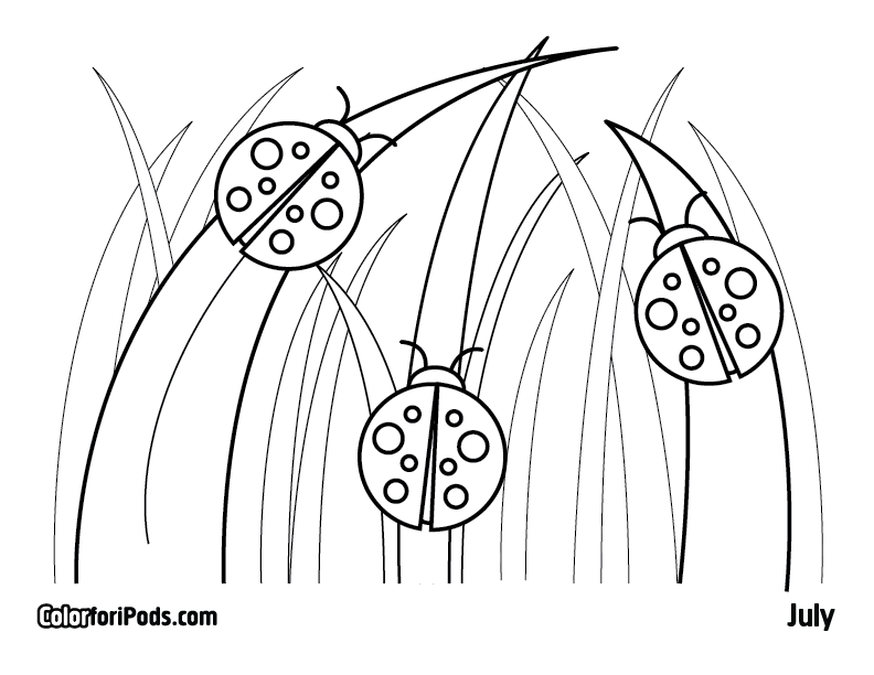 792x612 Ladybug Coloring Pages To Print Many Interesting Cliparts