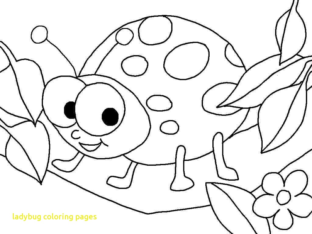 1024x768 Immediately Lady Bug Coloring Page Ladybug Pages With Printable