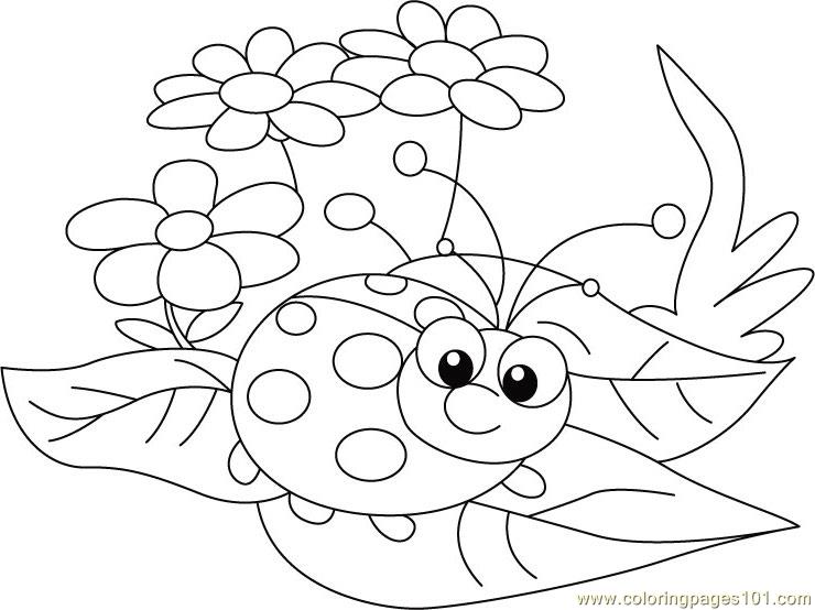 740x554 Ladybug Sit Flowers Coloring Page