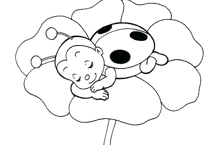 750x500 Cute Ladybug Coloring Pages Ladybug Coloring Pages Cute Ladybug