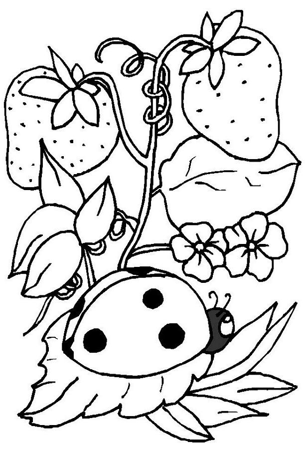 612x900 Ladybug Coloring Pages