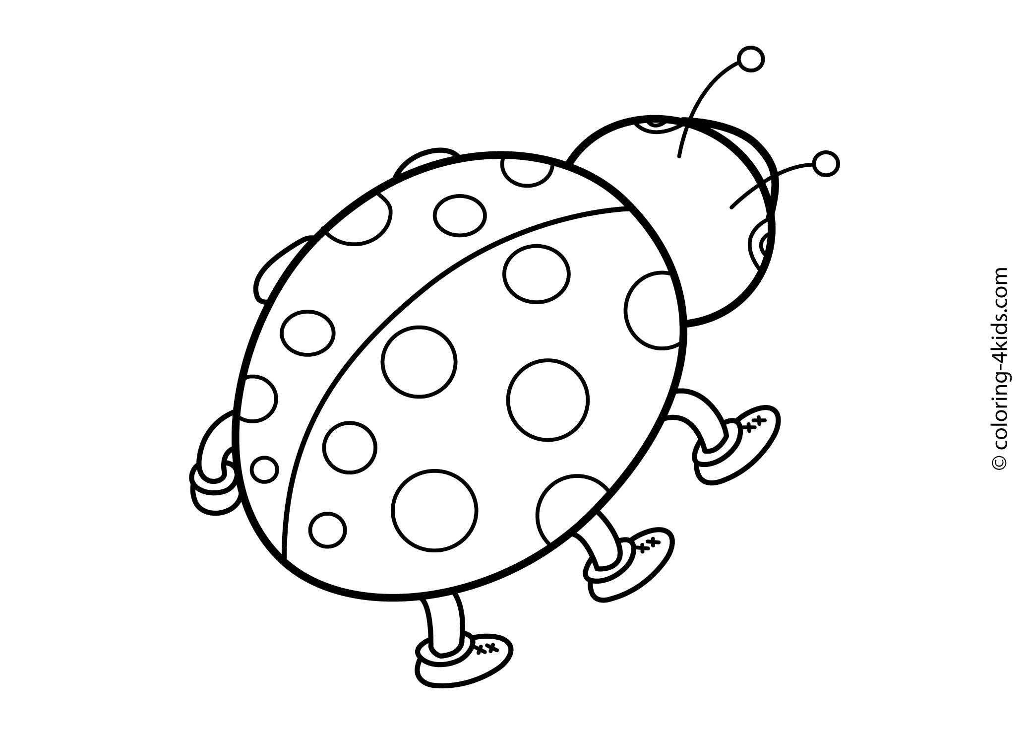 2079x1483 Ladybug Coloring Pages Coloring Pages Ladybird