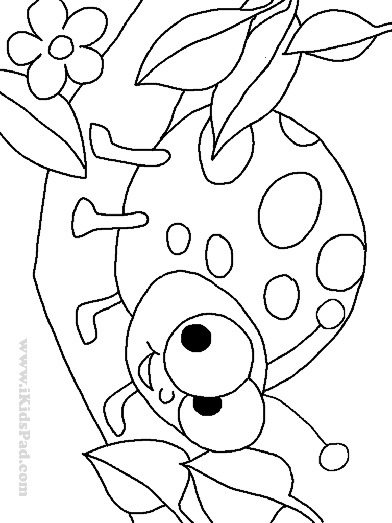 768x1024 Printable How To Draw Miraculous Ladybug Coloring Pages Cat Noir