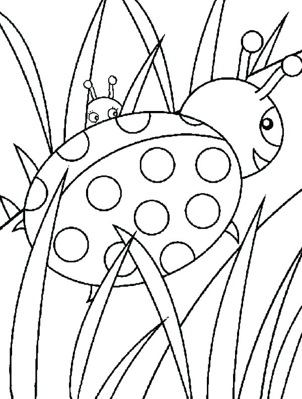 600x791 Coloring Pages Of Ladybugs