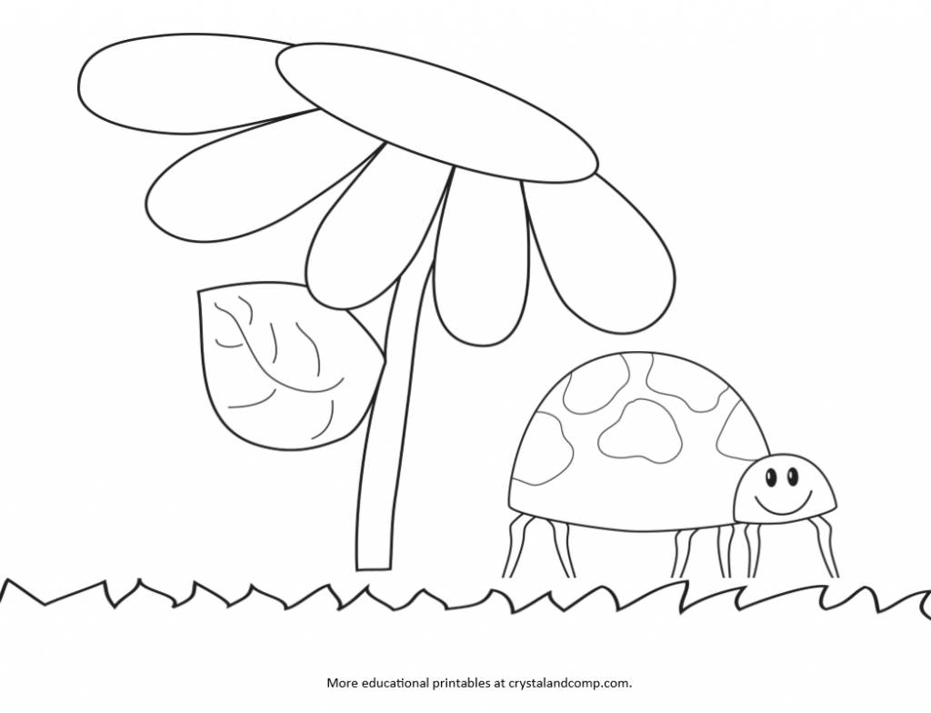 1024x784 Kid Color Pages Ladybug