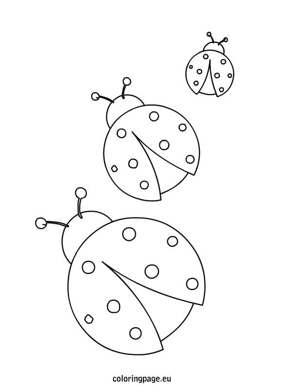 595x804 Simple Pictures Of Ladybugs To Color Drawn Ladybug Toddler Pencil