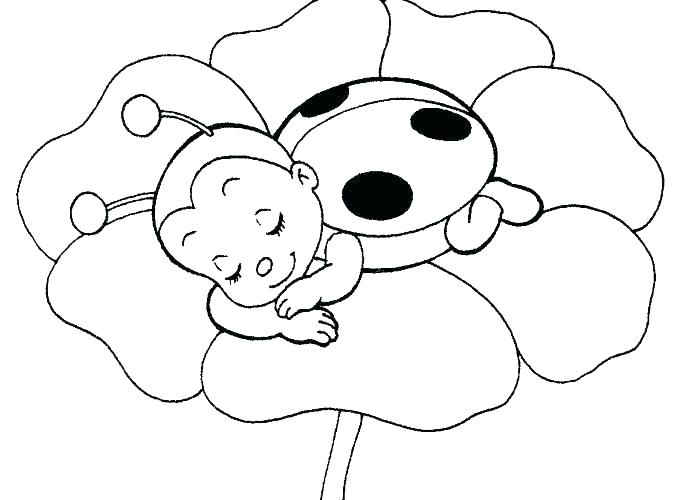 678x500 Lady Bug Coloring Page Axinmobi.site